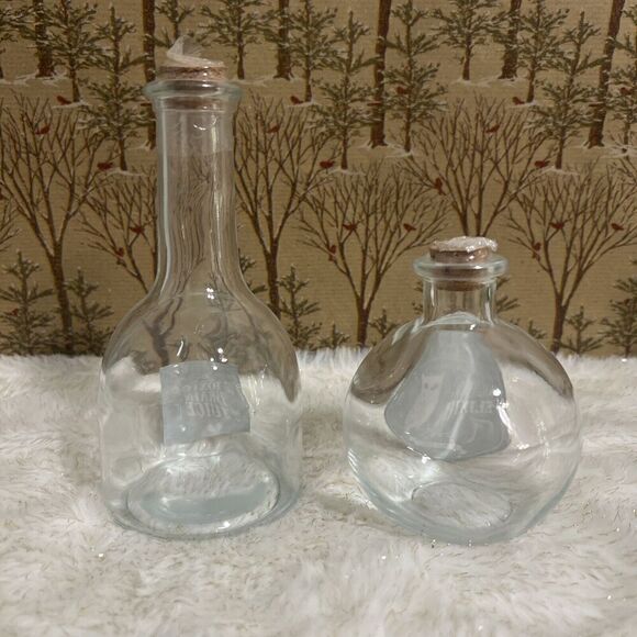 Target Potion Poison Elixir Bottles Clear Glass Jars Set Of 2 Halloween NEW - Picture 5 of 5